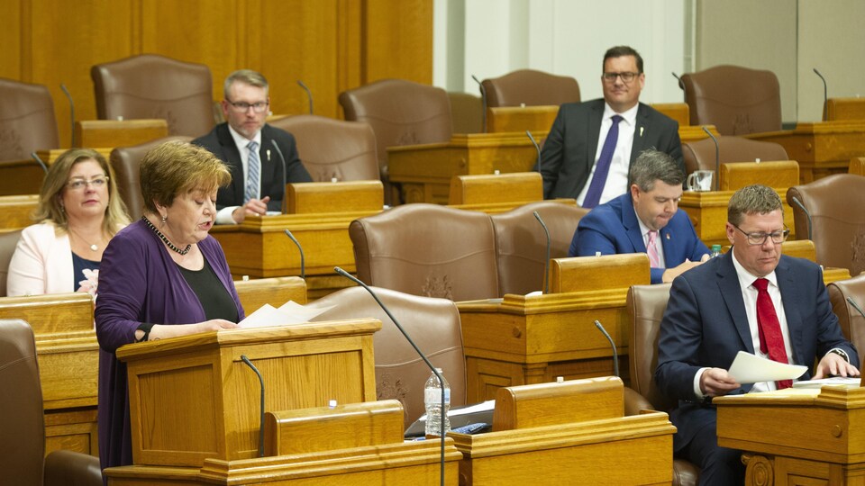 Donna Harpauer, debout, présente son budget. Autour d'elle, le premier ministre Scott Moe et des députés siègent à l'Assemblée législative.