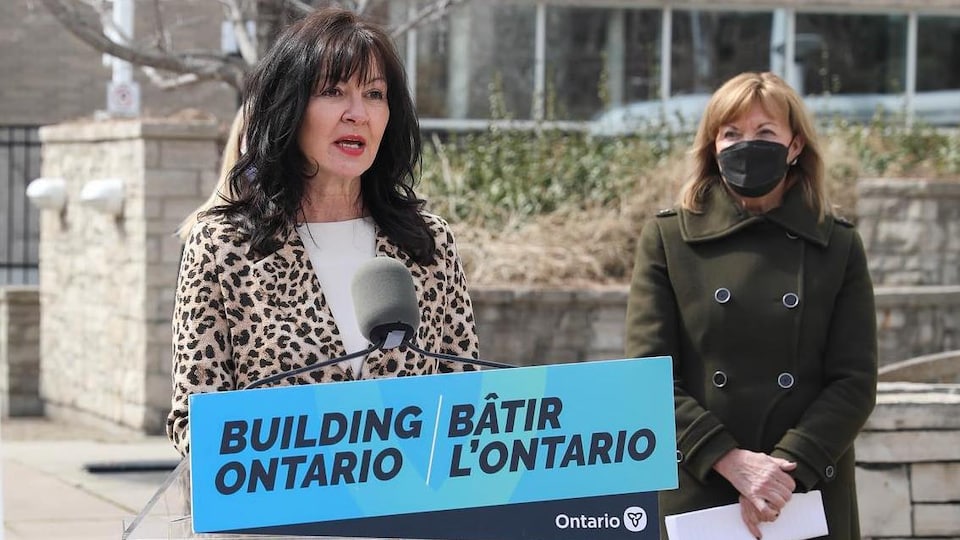 Donna Skelly at a press conference.