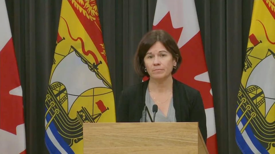 Une femme au micro en conférence de presse devant des drapeaux du Canada et du Nouveau-Brunswick.