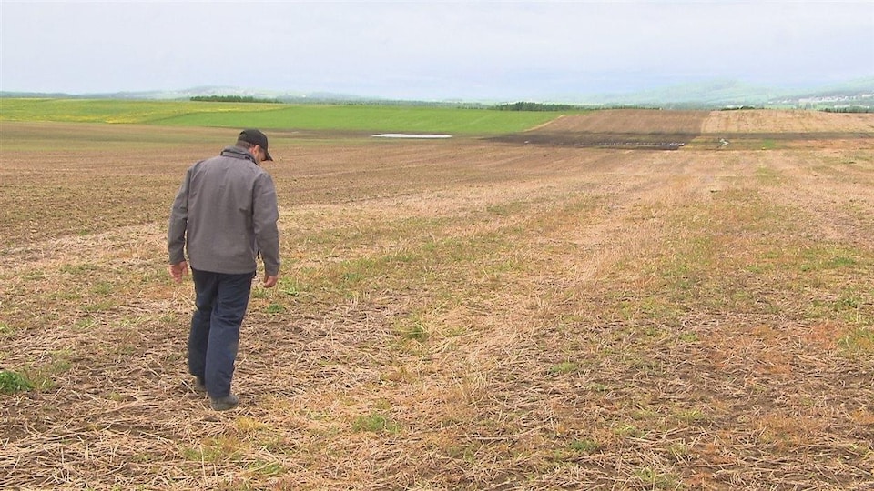 Yannick Côté, propriétaire de la ferme Soya, aimerait installer des drains agricoles dans ses champs.