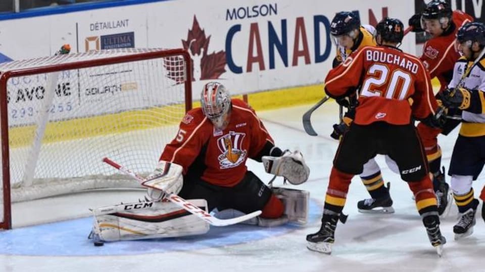 Début du camp d'entraînement du Drakkar de