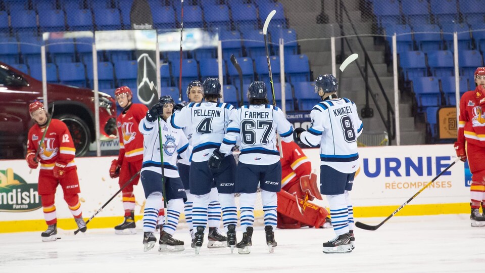 Des joueurs des Saguenéens de Chicoutimi se félicitent d'avoir marqué un but.