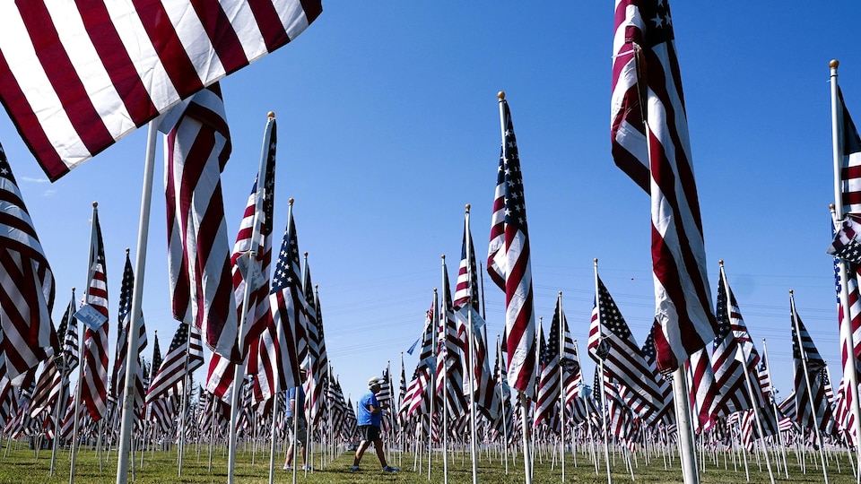 Un piéton marche dans un champ de drapeaux américains en berne.