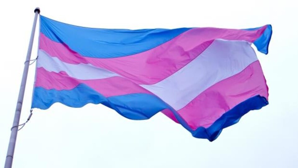 Le drapeau transgenre est doté de deux bandes bleues, deux bandes rose et une bande blanche au centre.