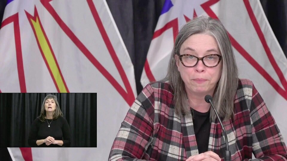 Janice Fitzgerald vêtue d'une chemise à carreaux rose et grise de style « grunge » devant un drapeau de Terre-Neuve-et-Labrador.