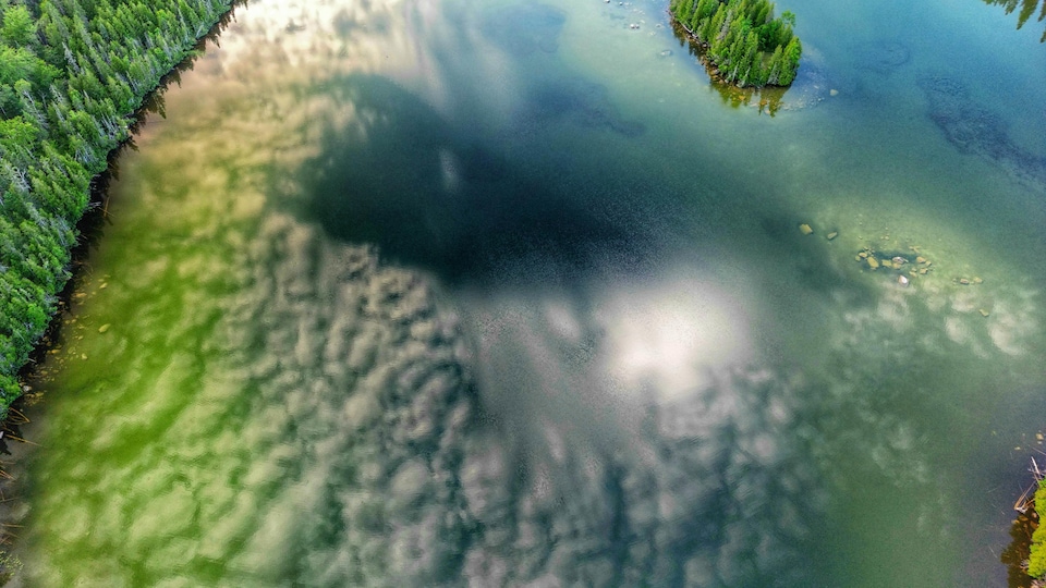 Clouds are reflected on the surface of a lake bordered by fir trees.