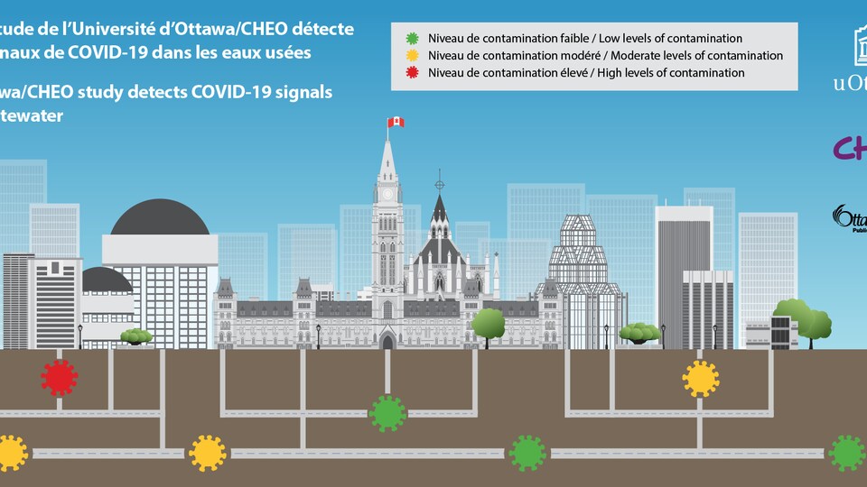 Un schéma illustrant les conduites souterraines à Ottawa. 