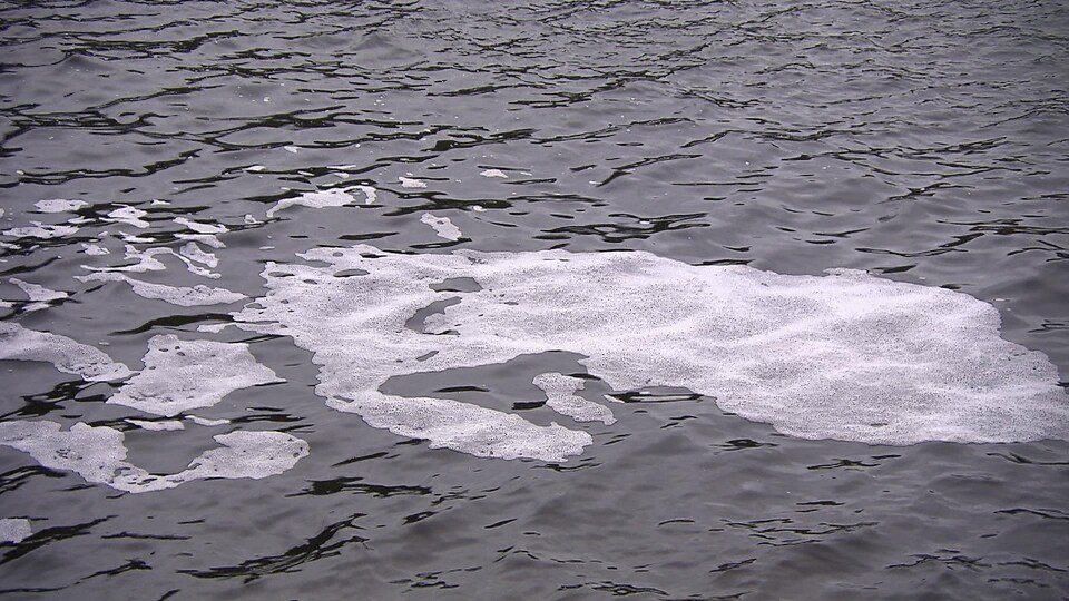 Une nappe blanche flotte sur l'eau.