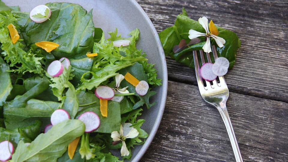 Une assiette avec de la salade, et une fourchette.