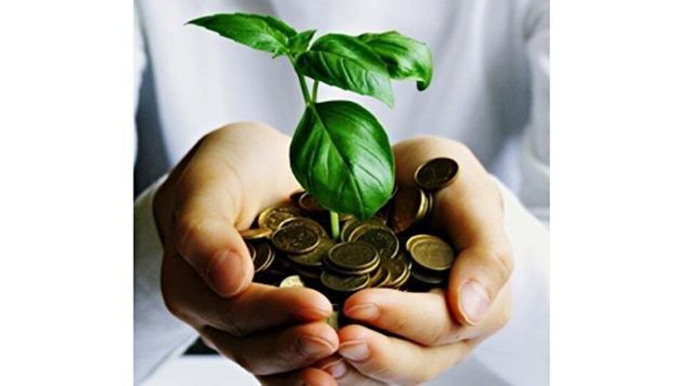 Des mains tiennent des sous. Une plante y pousse.
