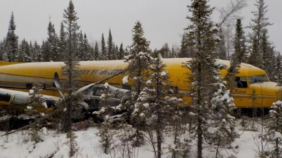 Un avion qui s'est écrasé dans une forêt.