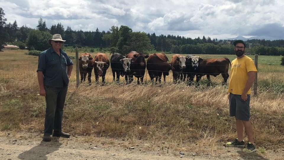 Les deux hommes posent devant un troupeau de vaches.