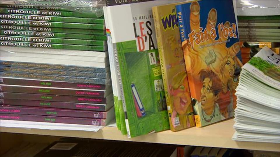 Sur une étagère reposent différents livres pour enfants. 