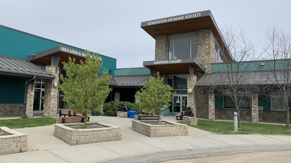 L’Edmonton Humane Society propose des adoptions d’animaux à prix réduit RadioCanada.ca