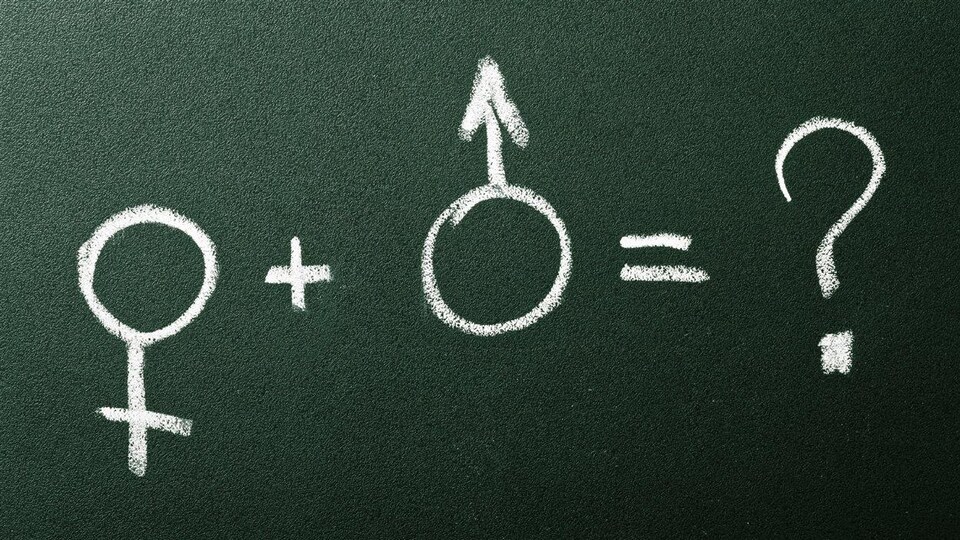 Un tableau vert sur lequel sont dessinés à la craie des symboles de genre masculin et féminin.