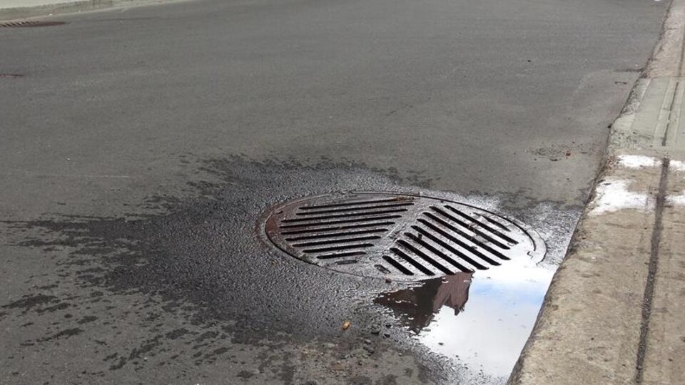 Une grille d'égout à Montréal