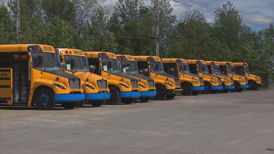 Des autobus scolaires électriques sont garés dans un stationnement.