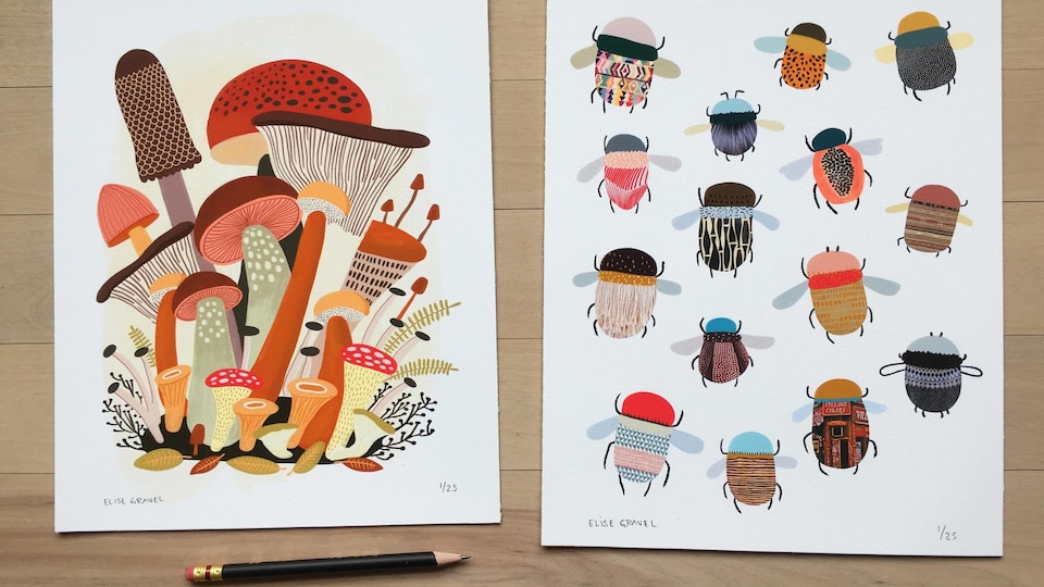 Des champignons et des insectes en dessin.