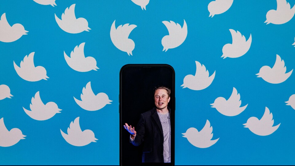 Une illustration montre Elon Musk sur l'écran d'un téléphone intelligent, entouré d'une nuée de petits oiseaux blancs, le logo de Twitter. 