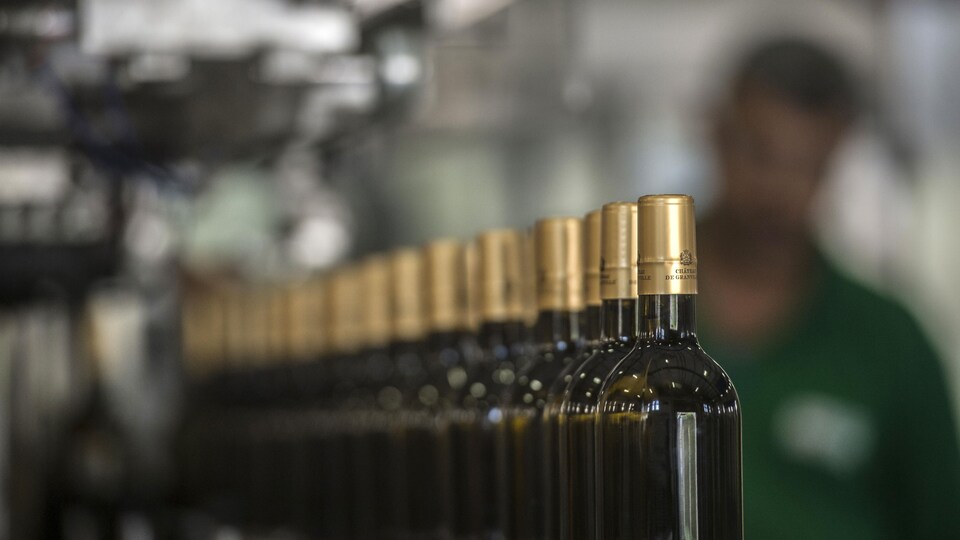 Une rangée de bouteilles de vin blanc sur une chaîne de montage, en train d'être étiquettées