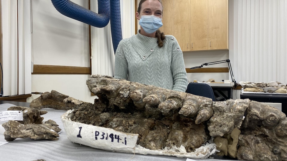 Une femme pose derrière un impressionnant fossile de reptile marin, dans un laboratoire.