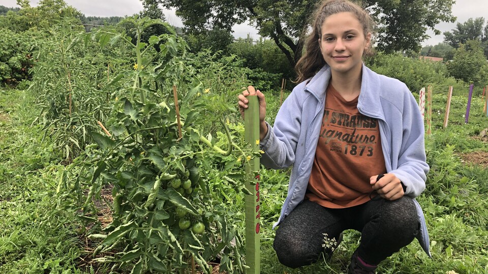 Emily McPhee devant des plants de tomates.