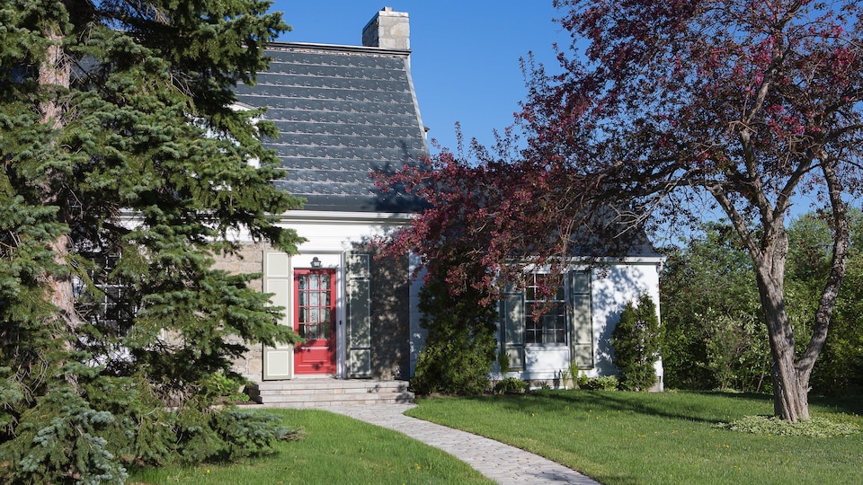 Deux arbres devant une maison.