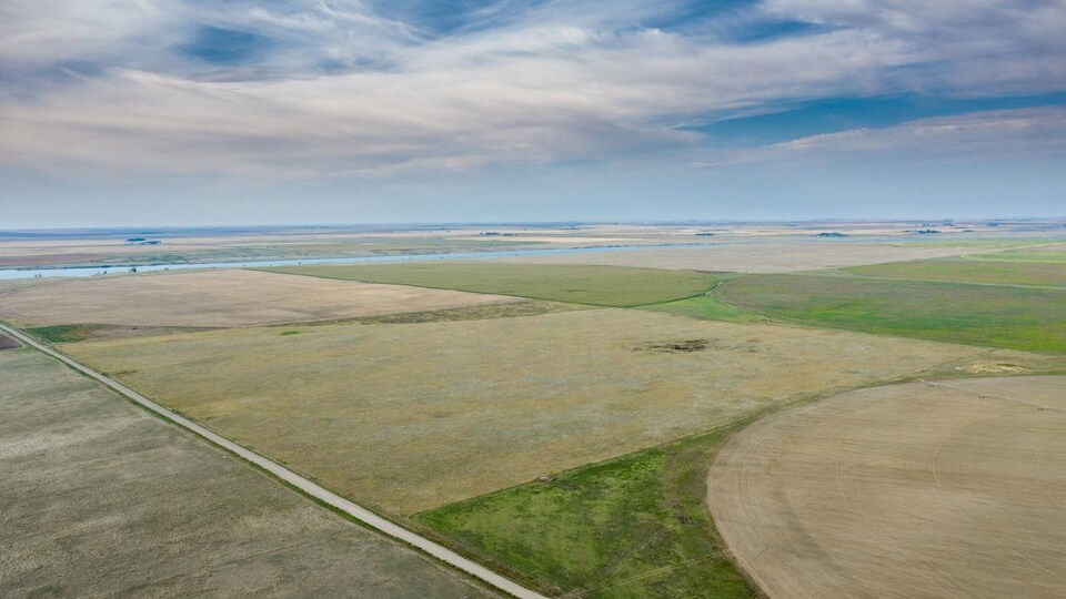 Une immense prairie.