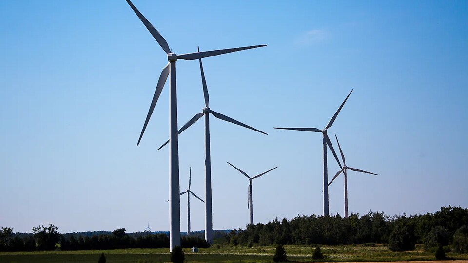 Des turbines éoliennes.