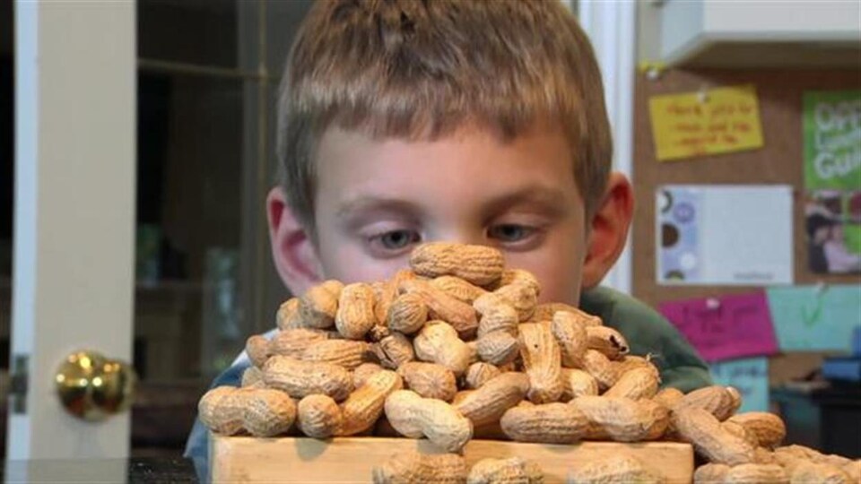 Allergie alimentaire chez l'enfant