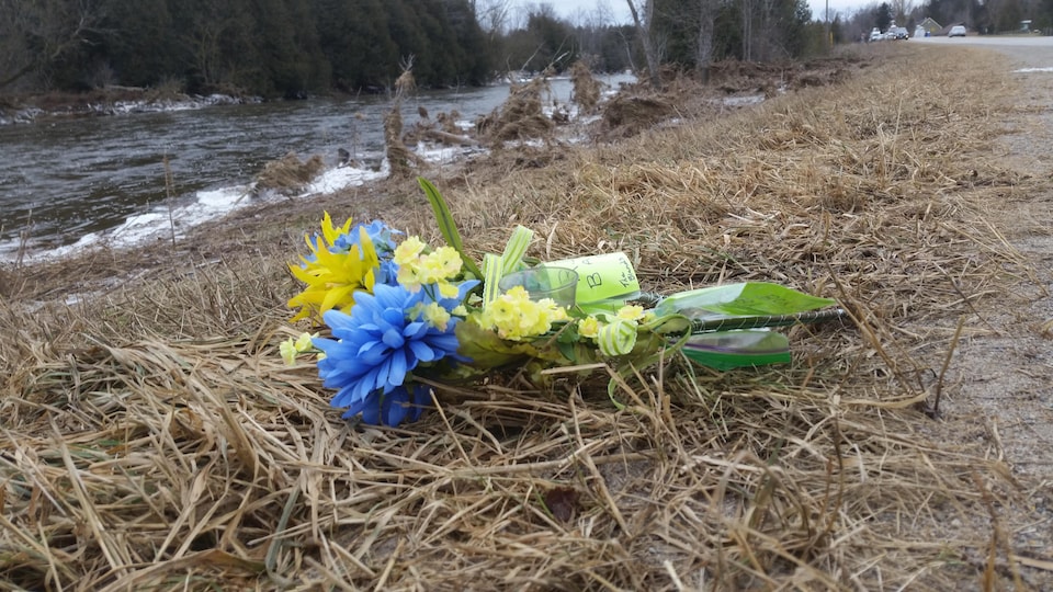 Photo de fleurs bleues et jaunes sur le sol près de la rivière.