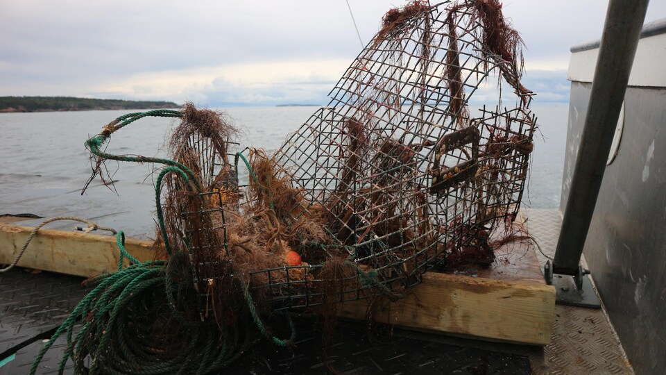 Des cages et casiers de pêche rouillés déposés sur un quai après avoir été récupérés.