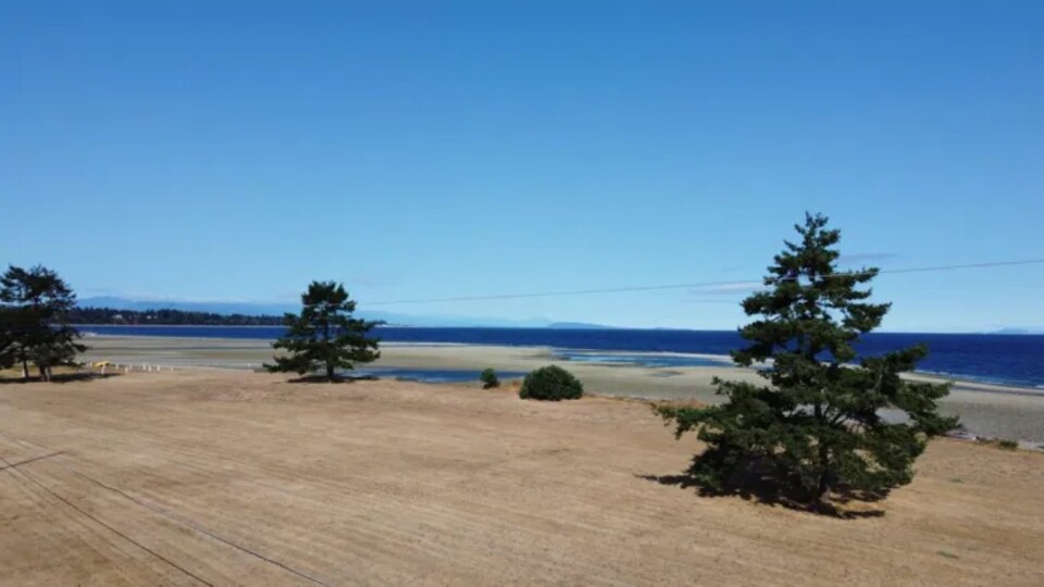 L'estuaire de la rivière Englishman.