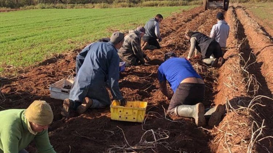 Plusieurs Madelinots ont prêté main-forte.