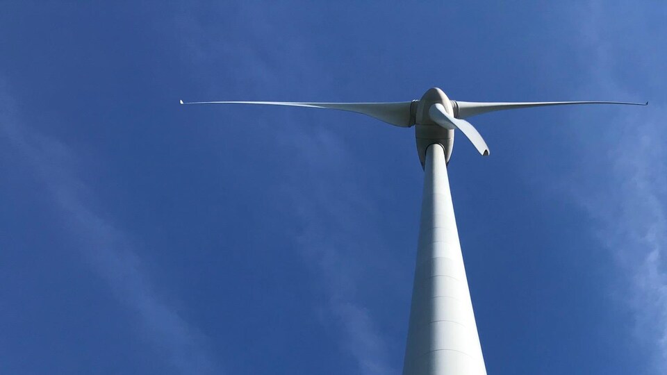 Vue d'une éolienne en contre plongée.