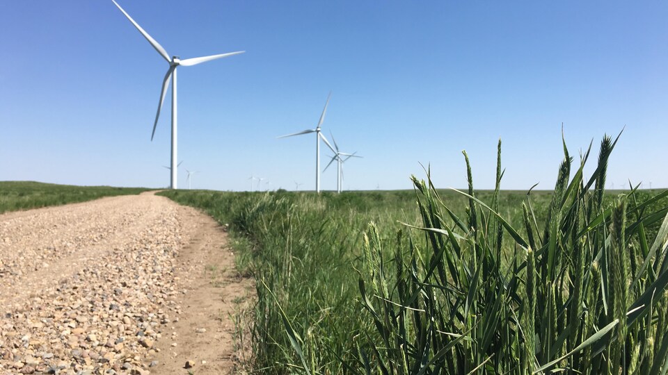 Des éoliennes dans le parc Blackspring Ridge, dans le sud de l'Alberta. Enbridge détient 50% du parc. 