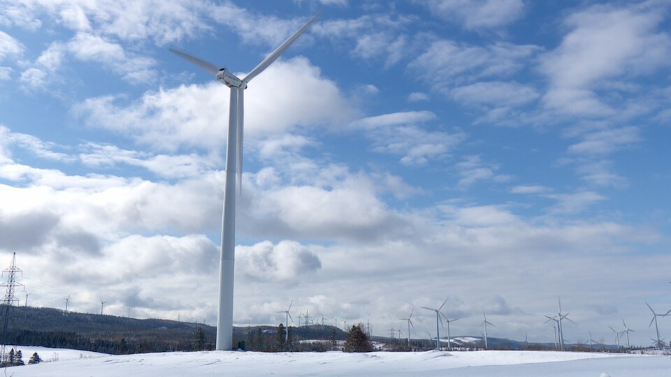 Les éoliennes de Cap-Chat en hiver.