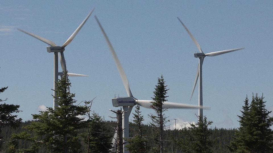 Gros plan sur les têtes d'éoliennes dans un parc éolien en Gaspésie.