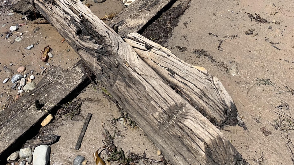 Des morceaux de bois ayant appartenu à un bateau.