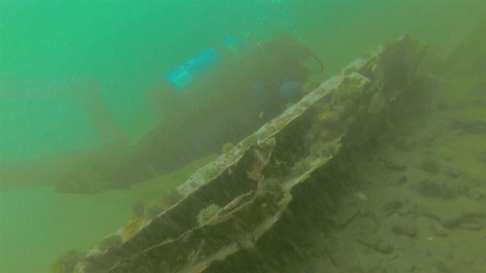 Une épave redécouverte à Sainte-Flavie.