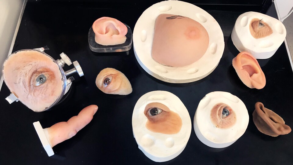 Quelques exemples de prothèses créées par l'épithésiste : Un sein, des oreilles, un doigt et des yeux.