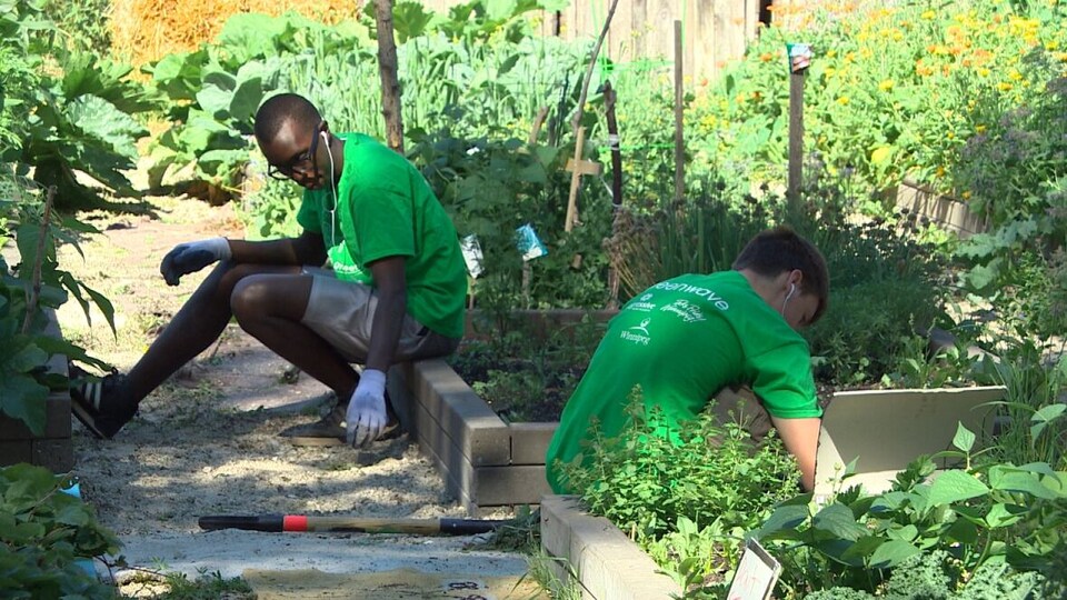 Des jeunes font du jardinage.