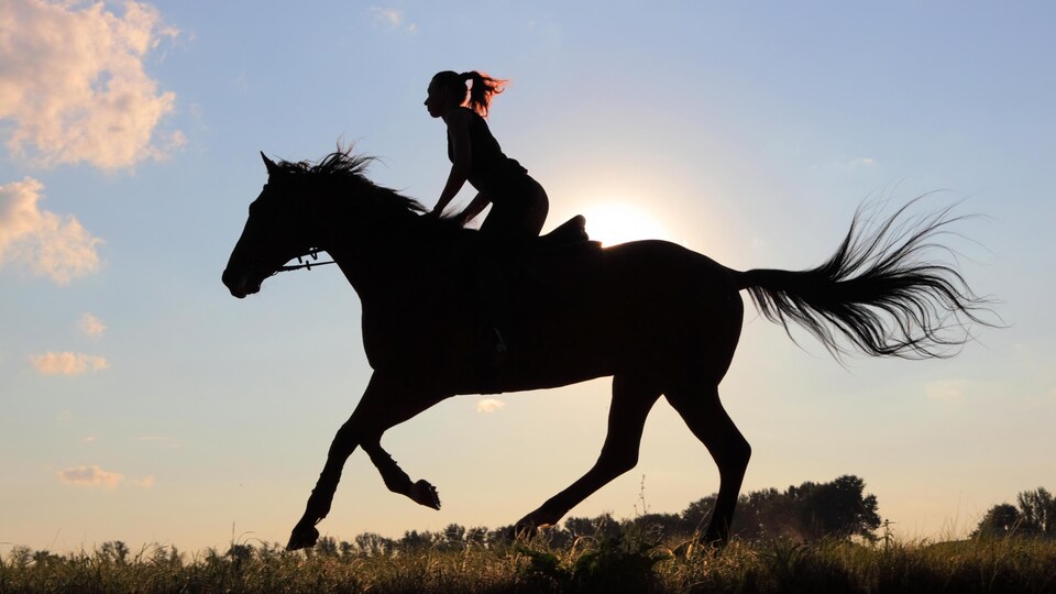 La silhouette d'une cavalière sur son cheval au soleil couchant.