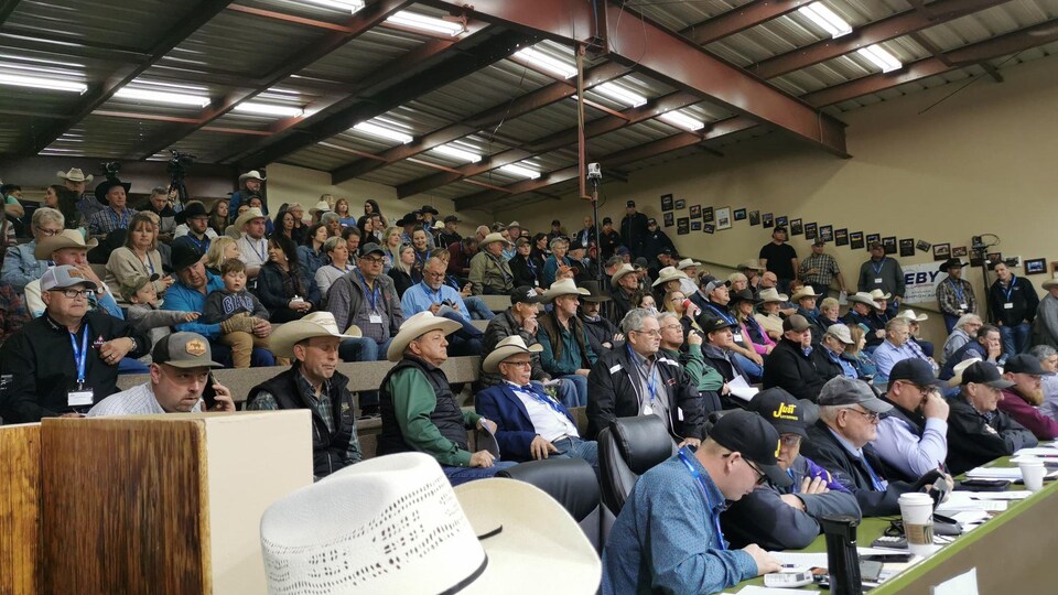 Dozens of people gathered at an auction.