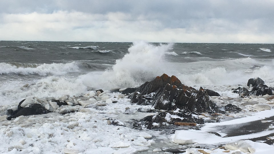 Marée haute lors des tempêtes de janvier dans le bas du fleuve