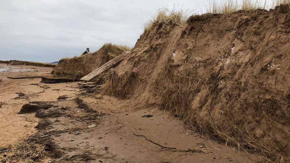 Signes d'érosion sur une plage des Îles-de-la-Madeleine