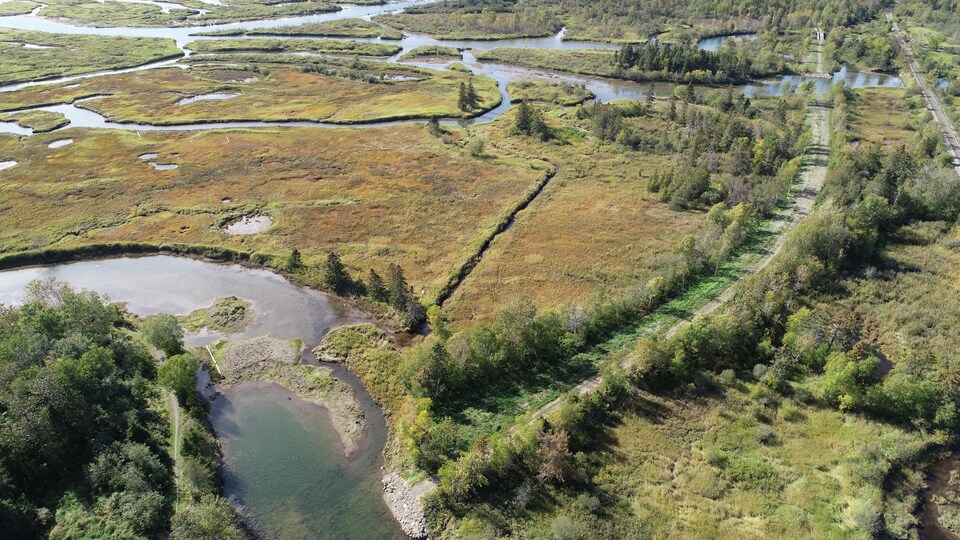 L'estuaire d'une rivière vue de haut