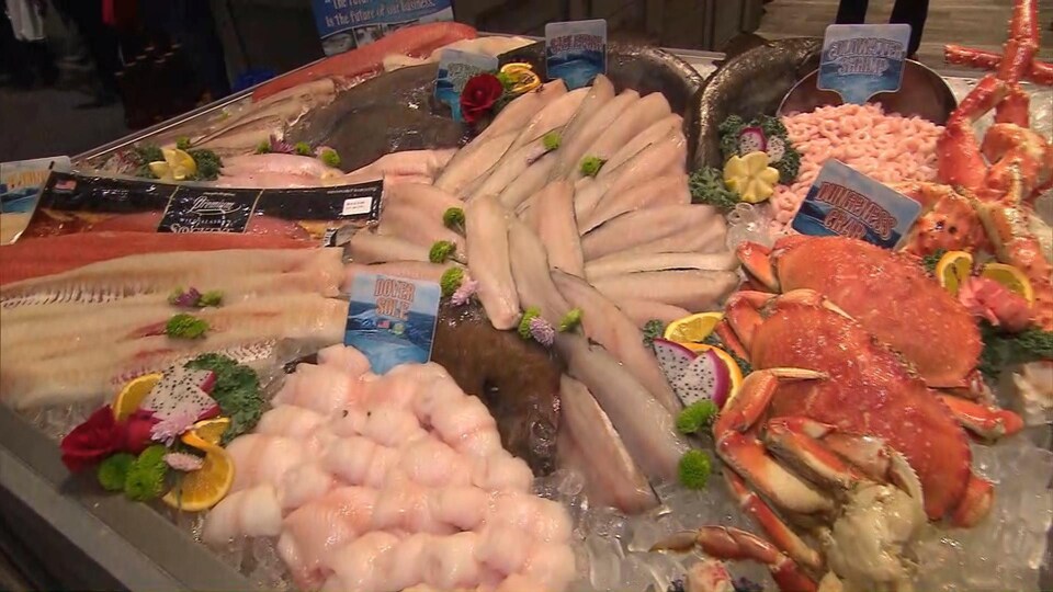 Étal de fruits de mer