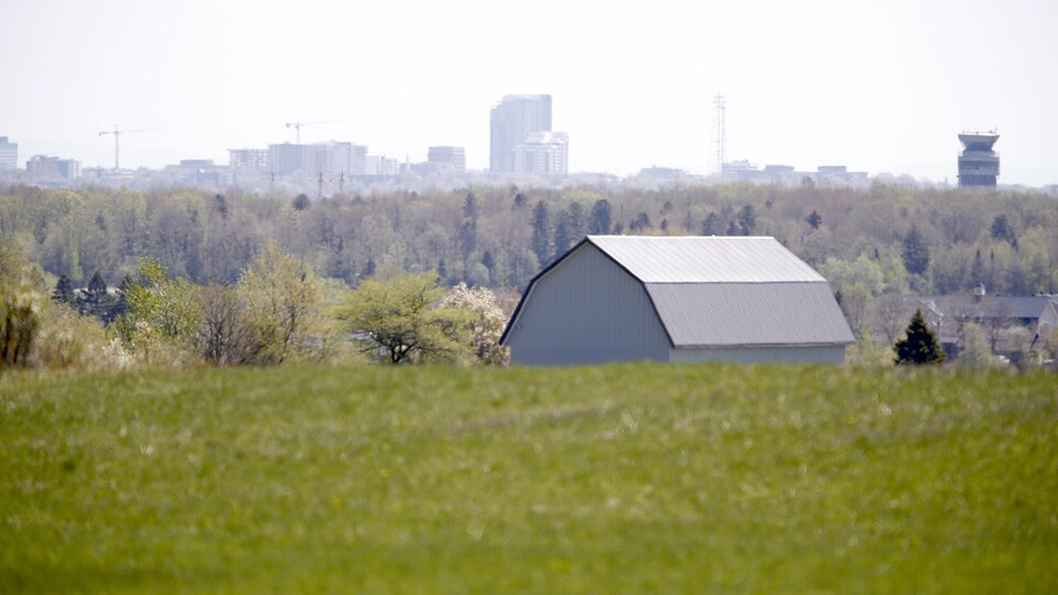 Un bâtiment agricole avec une ville en arrière-plan.