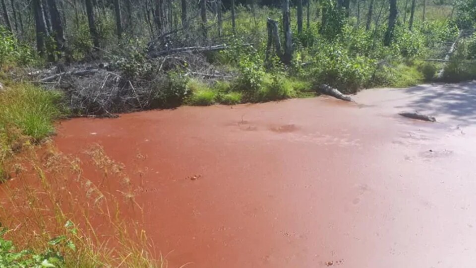Un petit étang présente une eau complètement rouge à la surface.